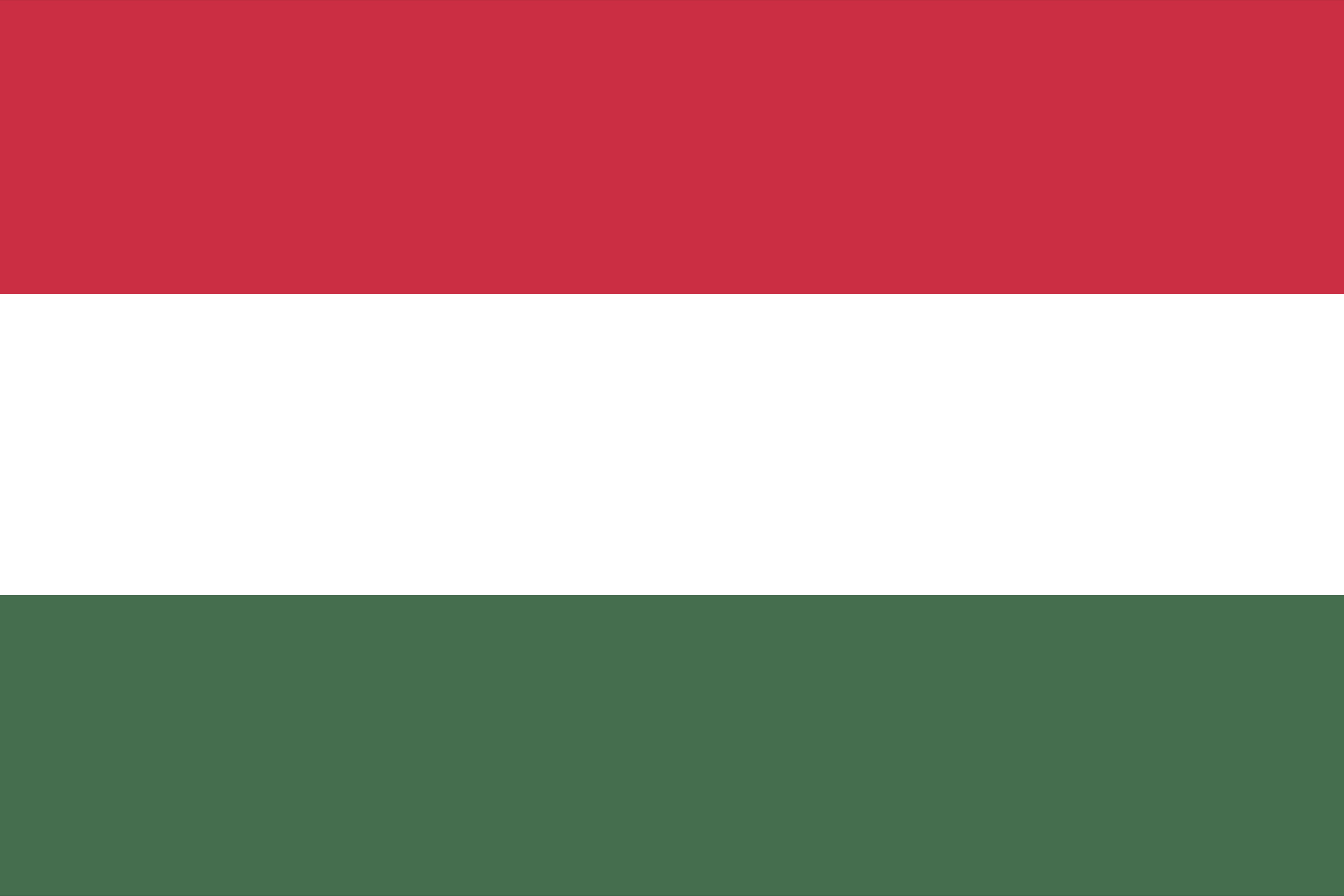 vector-illustration-of-hungary-flag